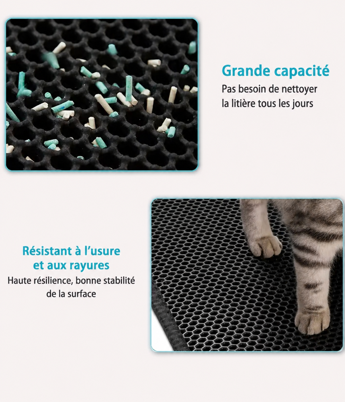Tapis Anti-Projections de Litière